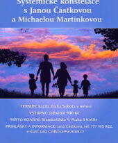 Systematické konstelace